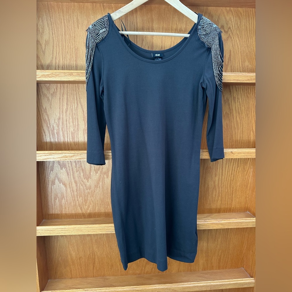 H&M Fitted Long Sleeve Embroidered Dress